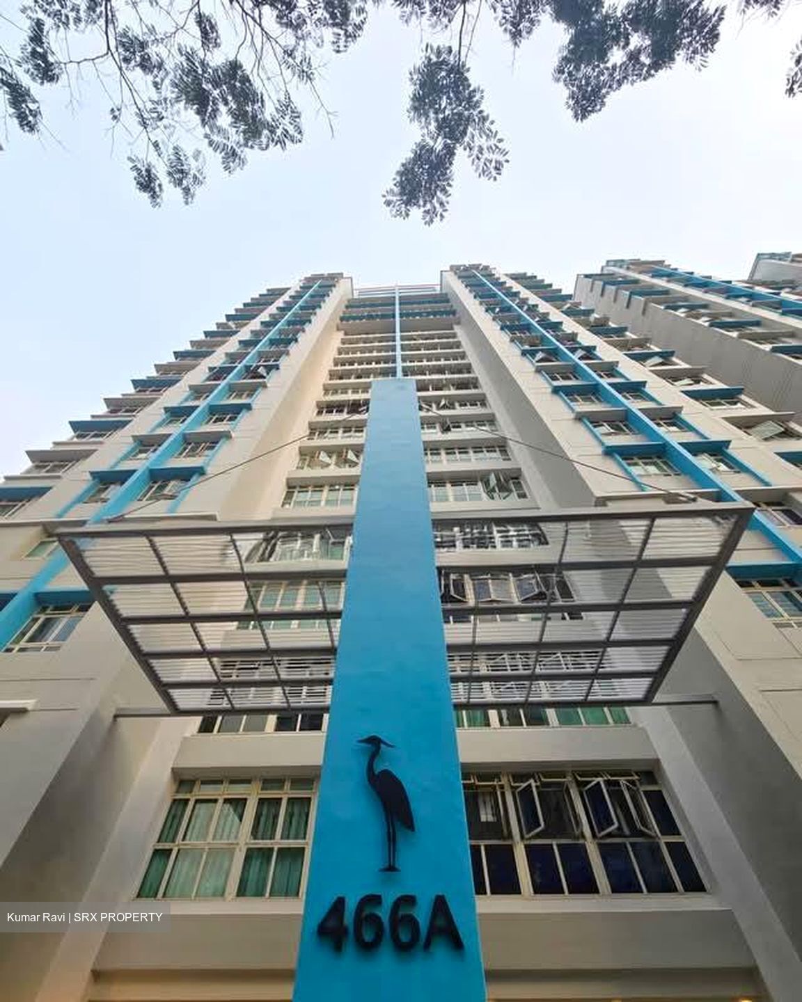 Blk 466A Spring Lodge (Sembawang), HDB 5 Rooms #566595781